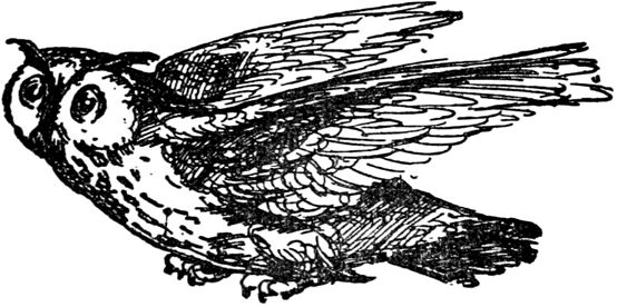 Эдвард Лир - Чистый nonsense (сборник)