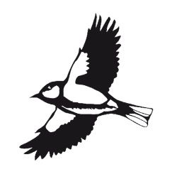 Монах Лазарь (Афанасьев) - Утренняя песнь