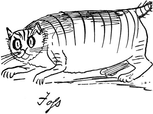 Эдвард Лир - Чистый nonsense (сборник)