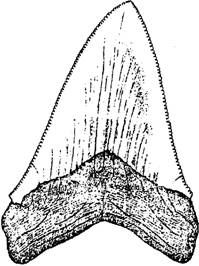 Мишель Кремо, Ричард Томпсон - Запрещенная археология