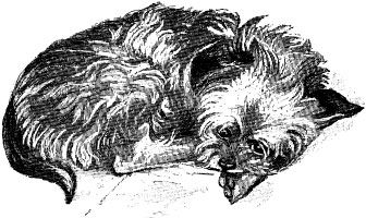 Александр Афанасьев - Народные русские сказки из собрания А. Н. Афанасьева