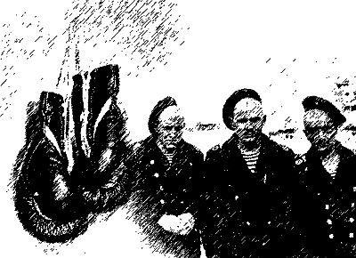 Александр Федотов - Новые записки матроса с "Адмирала Фокина" (сборник)