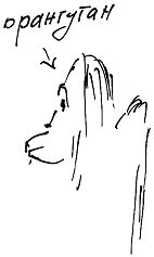 Александр Покровский - Тропик лейтенанта. Пиратское рондо