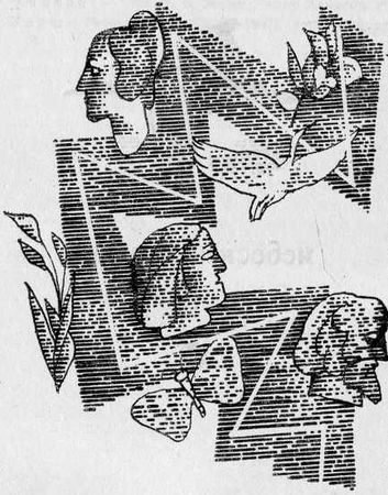 Яан Кросс - Окна в плитняковой стене