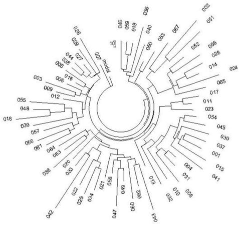 Анатолий Клёсов - Кому мешает ДНК-генеалогия?