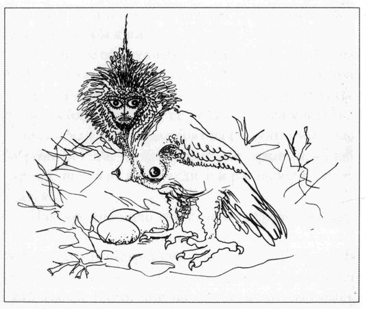 Габриэль Витткоп - Вечный альманах гарпий