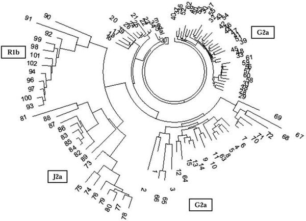 Анатолий Клёсов - Кому мешает ДНК-генеалогия?