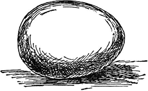 Эдвард Лир - Чистый nonsense (сборник)