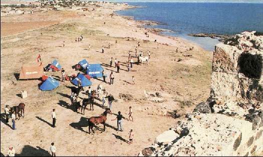 Карло Маури - Когда риск - это жизнь!