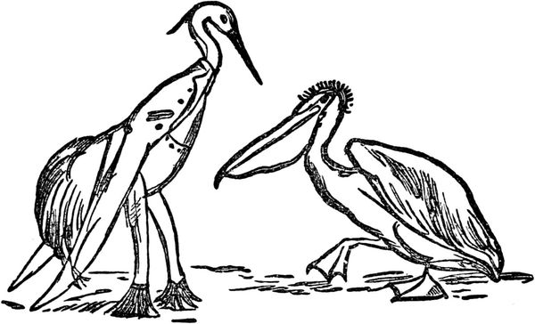 Эдвард Лир - Чистый nonsense (сборник)