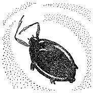 Марк Махлин, Людмила Солоницына - Аквариум в школе