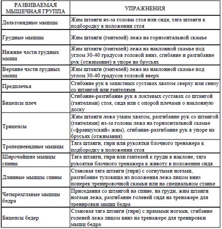 Евгений Головихин, Сергей Степанов - Теоретические и методические основы...