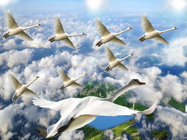 Саша Суздаль - Блуждающий Неф