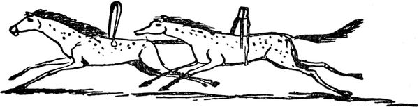 Эдвард Лир - Чистый nonsense (сборник)