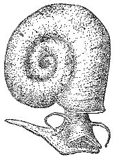 Марк Махлин, Людмила Солоницына - Аквариум в школе