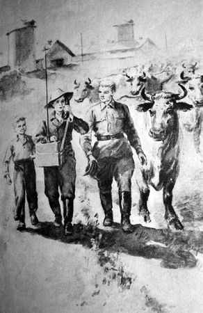 Владимир Немцов - Семь цветов радуги