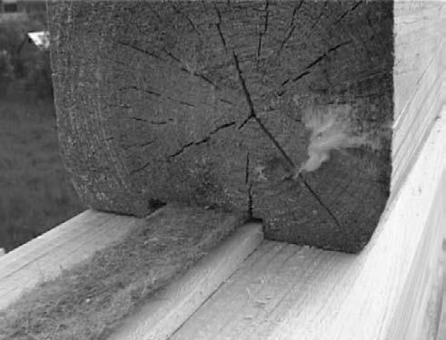 Иван Никитко - Баня, сауна. Строим своими руками