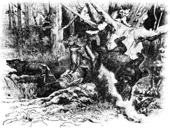 Александр Афанасьев - Народные русские сказки из собрания А. Н. Афанасьева