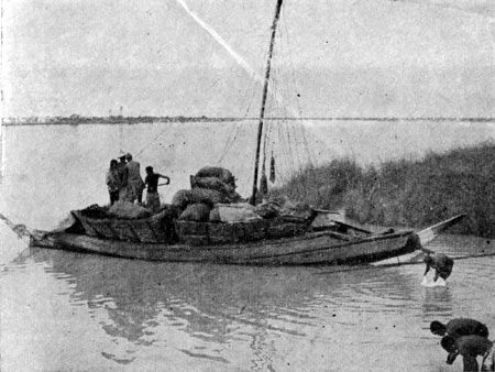 Анна Ковальска-Левицка - Мавритания