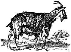 Александр Афанасьев - Народные русские сказки из собрания А. Н. Афанасьева