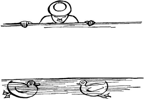 Эдвард Лир - Чистый nonsense (сборник)