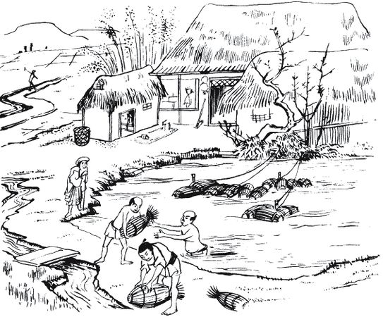 Чарльз Данн - Традиционная Япония. Быт, религия, культура