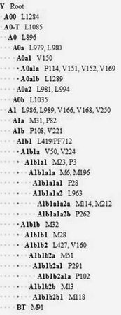 Анатолий Клёсов - Кому мешает ДНК-генеалогия?