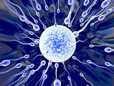 Ксения Тейлор - Волшебные Пилюли, или Простые Алгоритмы Жизненного Успеха