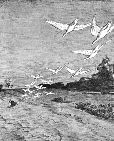 Александр Афанасьев - Народные русские сказки из собрания А. Н. Афанасьева