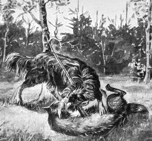 Александр Афанасьев - Народные русские сказки из собрания А. Н. Афанасьева