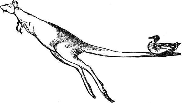 Эдвард Лир - Чистый nonsense (сборник)