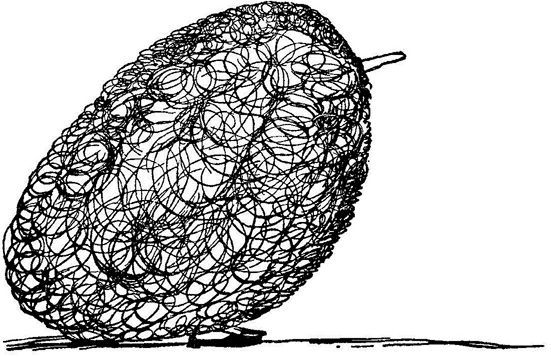 Эдвард Лир - Чистый nonsense (сборник)