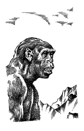 Джек Лондон, Герберт Уэллс и др. - Сила сильных