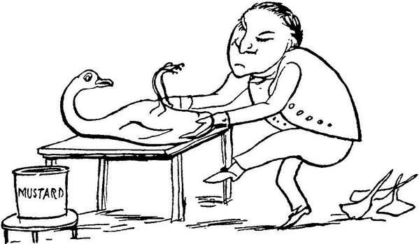 Эдвард Лир - Чистый nonsense (сборник)