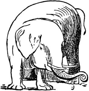 Эдвард Лир - Чистый nonsense (сборник)