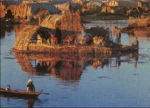 Карло Маури - Когда риск - это жизнь!