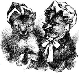 Александр Афанасьев - Народные русские сказки из собрания А. Н. Афанасьева