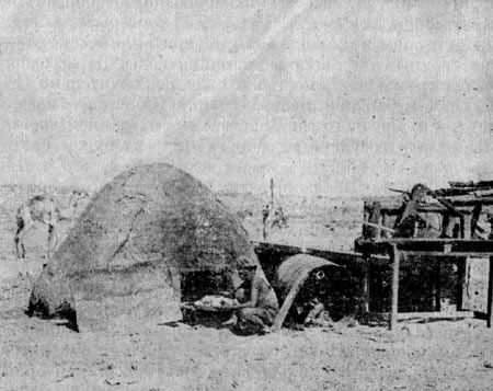 Анна Ковальска-Левицка - Мавритания