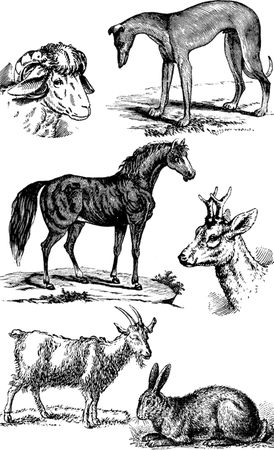 Юрий Подольский - Выжигание по дереву. Техники, приемы, изделия