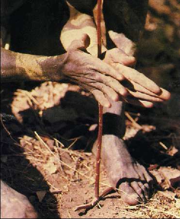 Карло Маури - Когда риск - это жизнь!