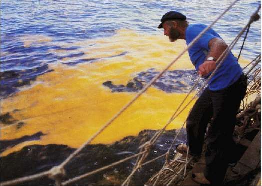 Карло Маури - Когда риск - это жизнь!