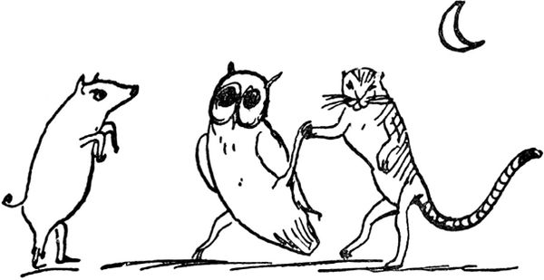 Эдвард Лир - Чистый nonsense (сборник)