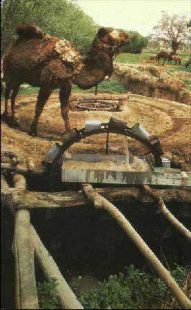 Карло Маури - Когда риск - это жизнь!