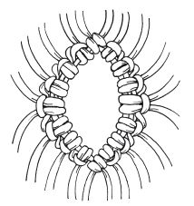 Светлана Ращупкина - Макраме для начинающих. Лучшие и оригинальные модели