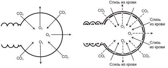 Геннадий Малахов - Лечебное дыхание. Практический опыт