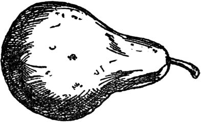 Эдвард Лир - Чистый nonsense (сборник)