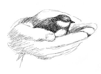 Ирина Витковская - Один рыжий, один зеленый. Повести и рассказы