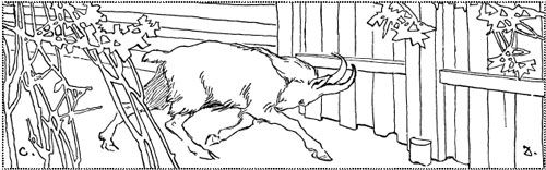 Александр Афанасьев - Народные русские сказки из собрания А. Н. Афанасьева