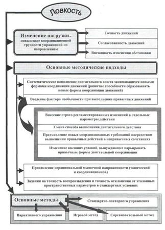 Евгений Головихин, Сергей Степанов - Теоретические и методические основы...