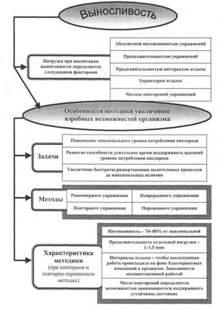 Евгений Головихин, Сергей Степанов - Теоретические и методические основы...